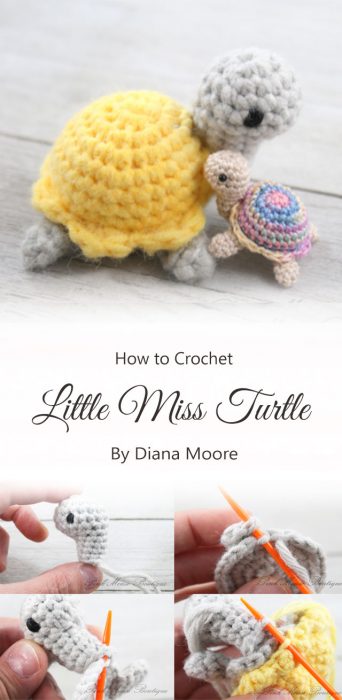 Little Miss Turtle By Diana Moore
