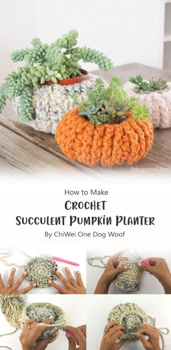 Crochet Succulent Pumpkin Planter By ChiWei One Dog Woof