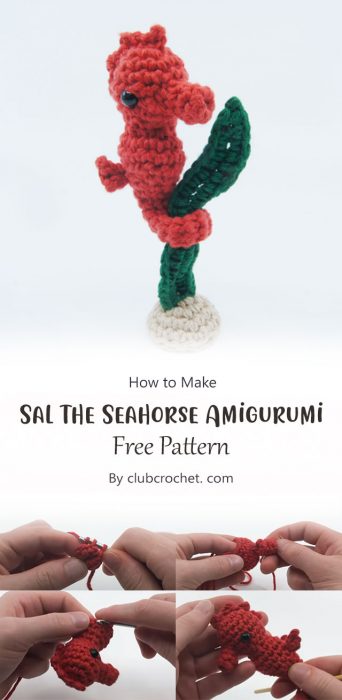 Sal the Seahorse Amigurumi By clubcrochet. com