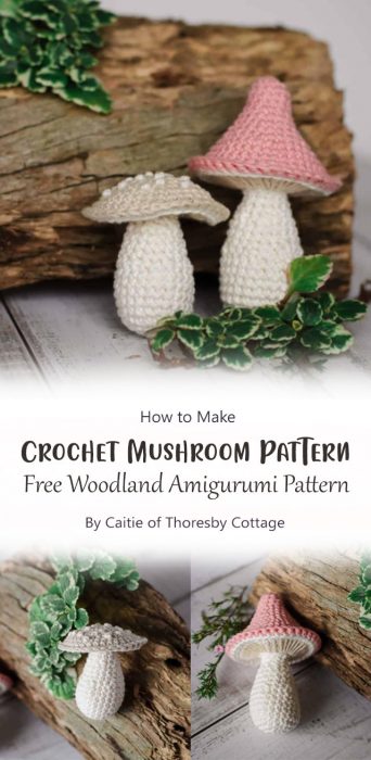Crochet Mushroom Pattern - Free Woodland Amigurumi Pattern By Caitie of Thoresby Cottage