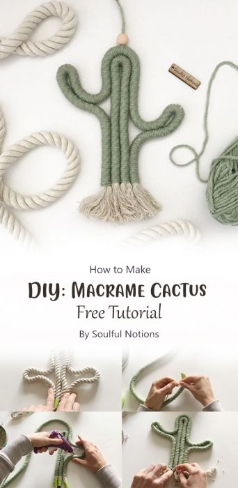 DIY Macrame Cactus By Soulful Notions