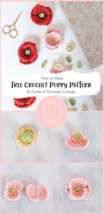 Free Crochet Poppy Pattern By Caitie of Thoresby Cottage