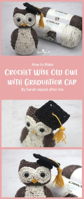 Crochet Wise Old Owl with Graduation Cap By Sarah repeat after me