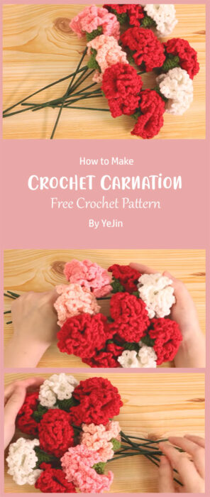 Crochet Carnation By YeJin