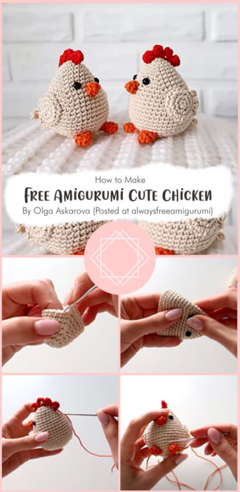 Amigurumi Cute Chicken Free Pattern By Olga Askarova (Posted at alwaysfreeamigurumi)