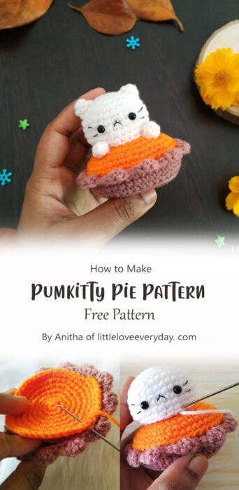 Pumkitty Pie Pattern By Anitha of littleloveeveryday. com