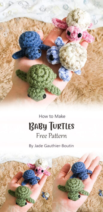 Baby Turtles By Jade Gauthier-Boutin