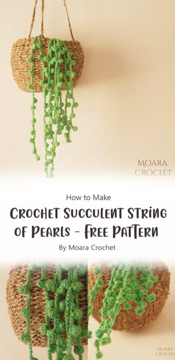 Crochet Succulent String of Pearls - Free Pattern By Moara Crochet