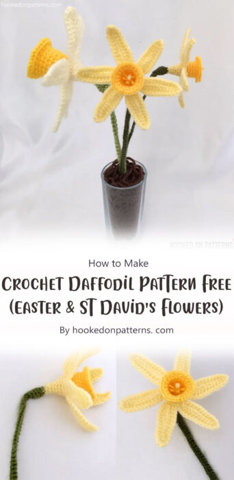 Crochet Daffodil Pattern Free (Easter & ST David's Flowers) By hookedonpatterns. com
