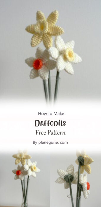 Daffodils By planetjune. com