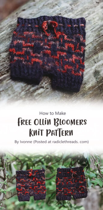 Free Ollin Bloomers Knit Pattern By Ivonne (Posted at radiclethreads. com)