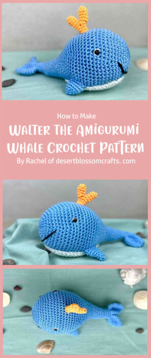 Walter the Amigurumi Whale Crochet Pattern (Free!) By Rachel of desertblossomcrafts. com