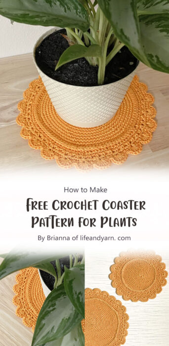 Free Crochet Coaster Pattern for Plants By Brianna of lifeandyarn. com