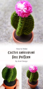 How to Make Amigurumi Cactus - Free Pattern Ideas (Part 2 ...