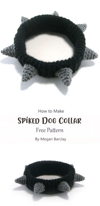 Spiked Dog Collar By Megan Barclay