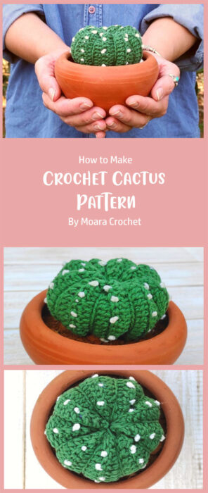 Crochet Cactus Pattern By Moara Crochet