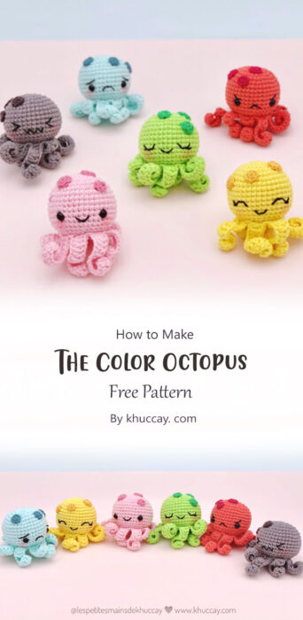 The Color Octopus By khuccay. com