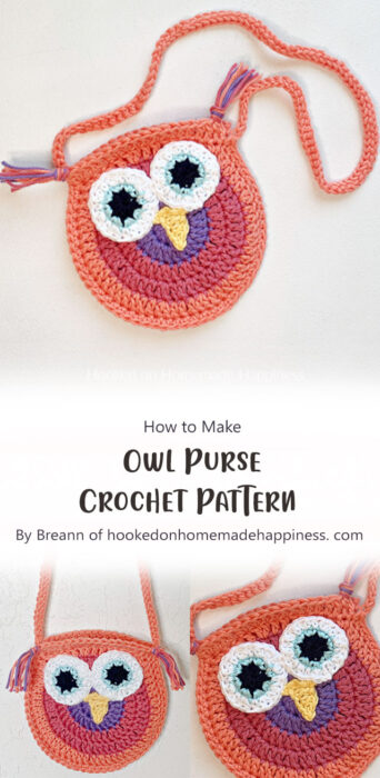 Owl Purse Crochet Pattern By Breann of hookedonhomemadehappiness. com