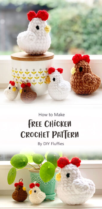 Free Chicken Crochet Pattern By DIY Fluffies