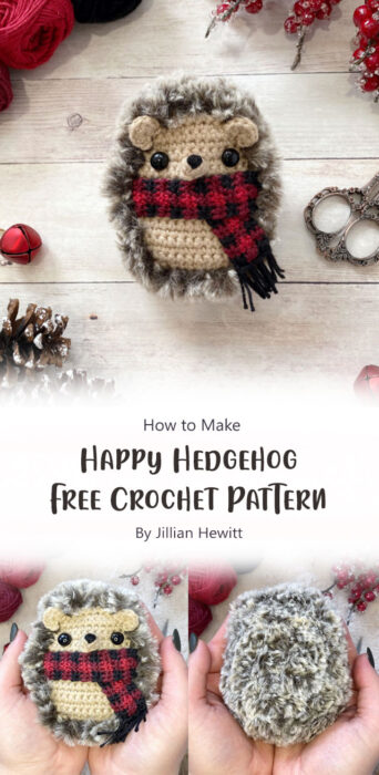 Happy Hedgehog Free Crochet Pattern By Jillian Hewitt