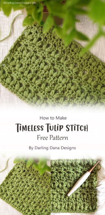 Timeless Tulip Stitch By Darling Dana Designs