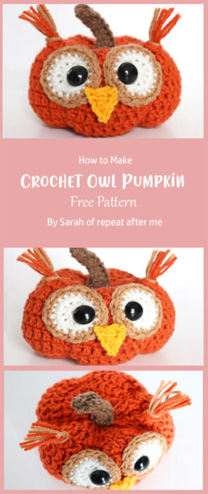 Crochet Owl Pumpkin By Sarah of repeat after me
