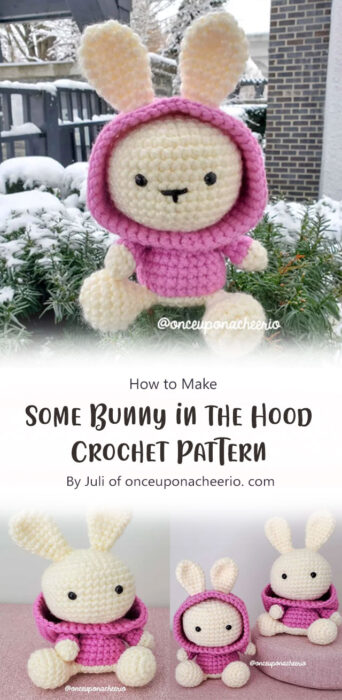 Some Bunny in the Hood-Crochet Pattern By Juli of onceuponacheerio. com