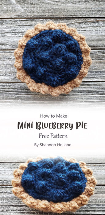 Mini Blueberry Pie By Shannon Holland