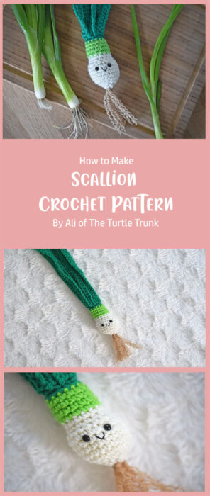 Scallion Crochet Pattern By Ali of The Turtle Trunk