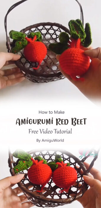 Amigurumi Red Beet By AmiguWorld
