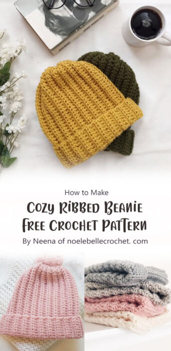 Cozy Ribbed Beanie - Free Crochet Pattern By Neena of noelebellecrochet. com
