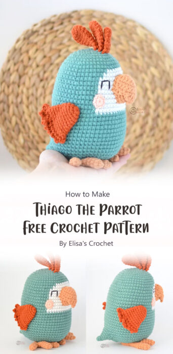 Thiago the Parrot Free Crochet Pattern By Elisa's Crochet