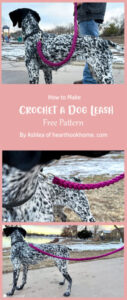 Dog Leash Free Crochet Pattern & Tutorial Ideas