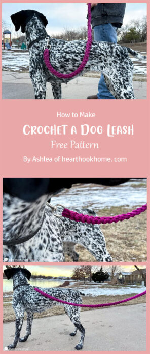 How to Crochet a Dog Leash By Ashlea of hearthookhome. com
