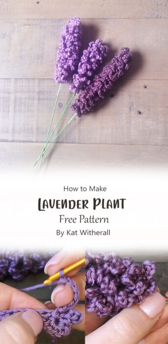 Lavender Plant By Kat Witherall