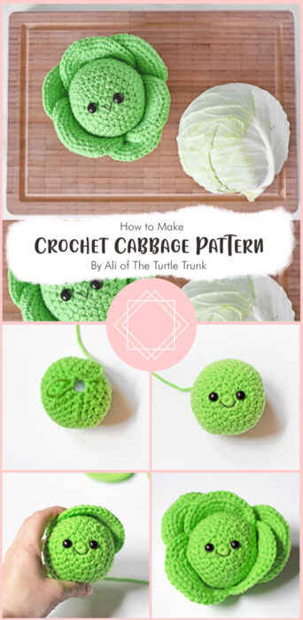 Crochet Cabbage Pattern By Ali of The Turtle Trunk